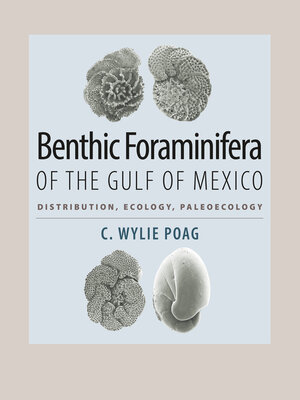 cover image of Benthic Foraminifera of the Gulf of Mexico